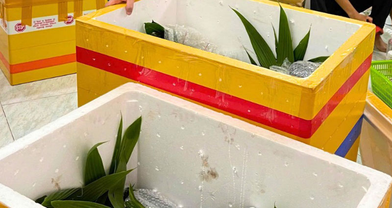 Gửi cây giống đi Mỹ