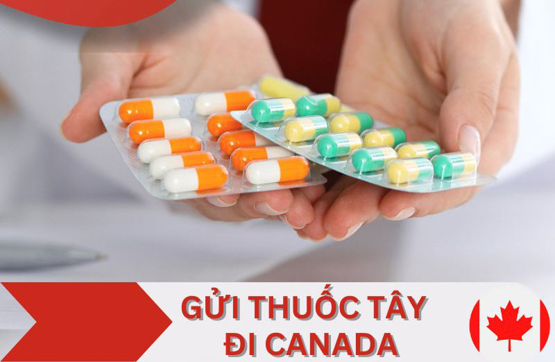 Gửi thuốc tây đi canada